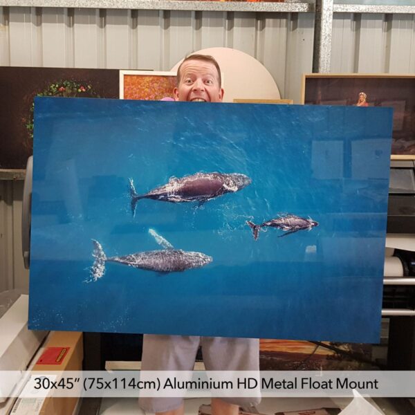 Aluminium HD - 2nds Sale - Image 3
