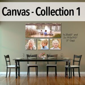 Canvas - Pro Collection 1