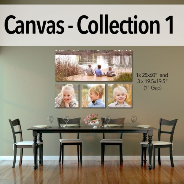 Canvas - Pro Collection 1