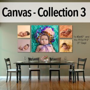 Canvas - Pro Collection 3