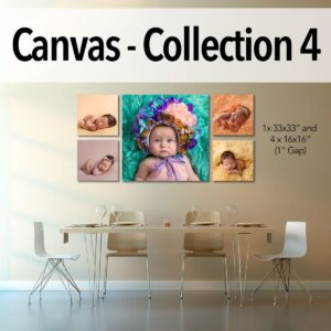 Canvas - Pro Collection 4