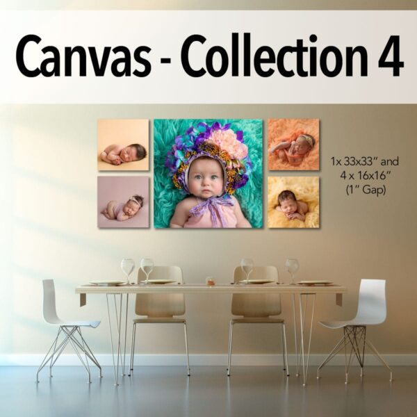 Canvas - Pro Collection 4