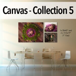 Canvas - Pro Collection 5
