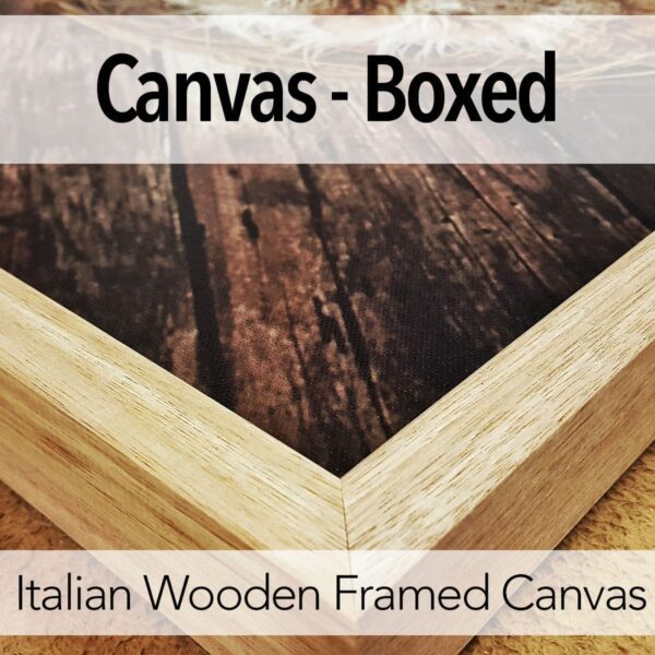 Canvas - Boxed