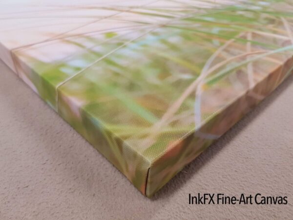 Panoramic Canvas Prints - Image 4