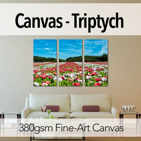 Canvas - Triptych