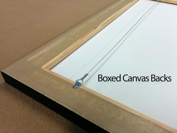 Canvas - Boxed (ON SALE) - Image 3
