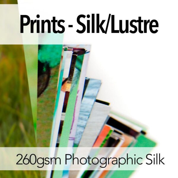 Prints - Silk/Lustre