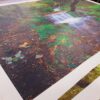 Rolled Canvas Prints | InkFX Printing