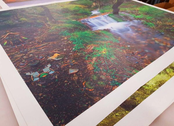 Rolled Canvas Prints | InkFX Printing