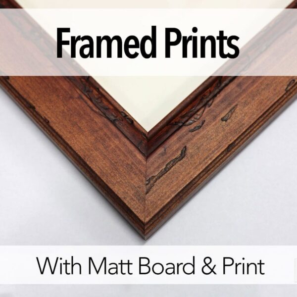 Framed Prints