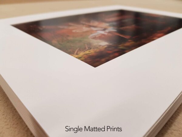 InkFX Single Matted Prints Wohoo